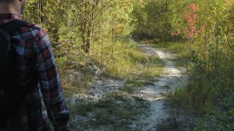 A man with a backpack walks along a forest trail. Vídeo Stock 95089897