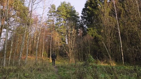 A man with a backpack walks along a path into the forest. Hike, active lifestyle Stock Footage 142415364