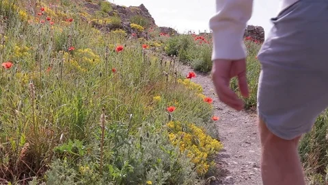 A man with a backpack walks along the poppy field Stock Footage 76246482