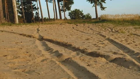 A man with a backpack walks along a road made of sand Video stock 177976874