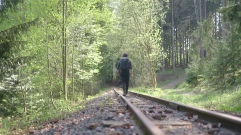Man with a backpack walks along the tracks in the forest in spring. Green Stock Footage 273016034