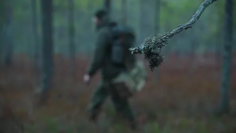 A man with a backpack walks in a coniferous forest Видео 302822589