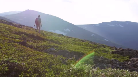 A man with a backpack walks through Alpine meadows high in the mountains Stock Footage 135189207