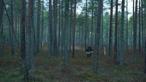 A man with a backpack walks through a coniferous forest Stockbeeldmateriaal 301806045