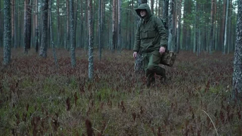 A man with a backpack walks through a coniferous forest 動画素材 302822556