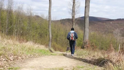 A man with a backpack walks through the forest in the mountains of Scandinavian  Video stock 237634350