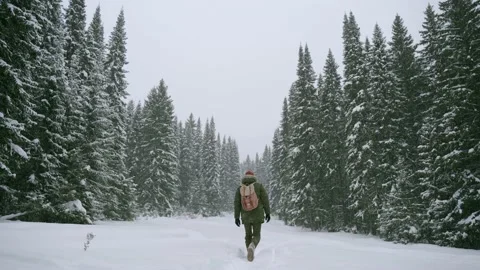 A man with a backpack walks in the winter forest in a snowstorm.  Stock Footage 147196444