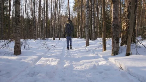Man with backpack in a winter forest Stock Footage 76999420