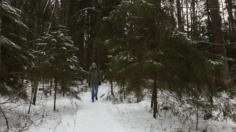 Man with backpack in a winter forest Video stock 80079476