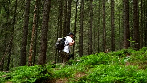Man backpacker passing by summer forest in mountains Video stock 211384330