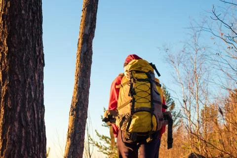 Man backpacker stands in forest at sunset in fall in yellow trees Stock Photos