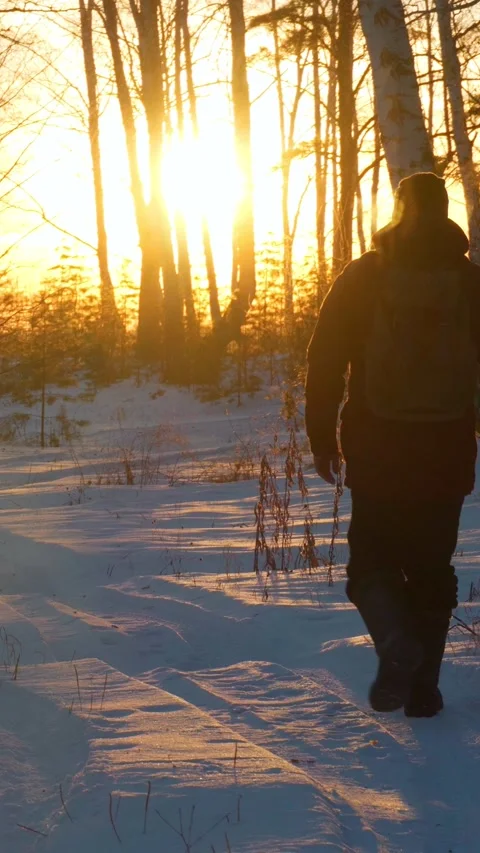A man with a backpacker walks through a winter forest at sunset. Stock Footage 299980698