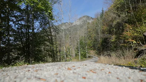 Man backpacking Stock Footage 101543412