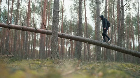 A man balances on a fallen tree and looks for a cellular signal Stock Footage 191626807
