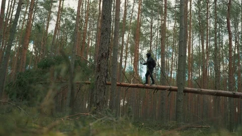 A man balances on a fallen tree and looks for a cellular signal Stock Footage 191626900