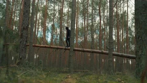 A man balances on a fallen tree and looks for a cellular signal Stock Footage 191627050