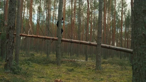 A man balances on a fallen tree and looks for a cellular signal Stock Footage 191627151