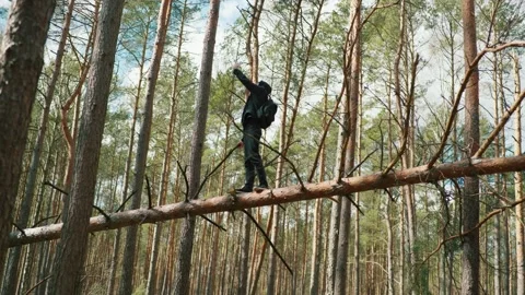 A man balances on a fallen tree and looks for a cellular signal Stock Footage 191627313