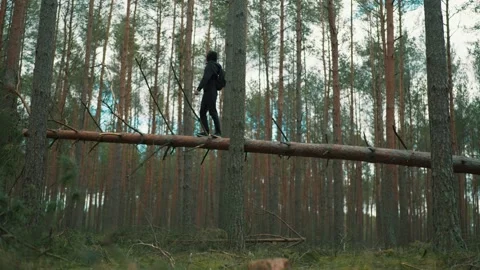 A man balances on a fallen tree and looks for a cellular signal Stock Footage 191627372