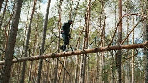 A man balances on a fallen tree and looks for a cellular signal Stock Footage 191627486