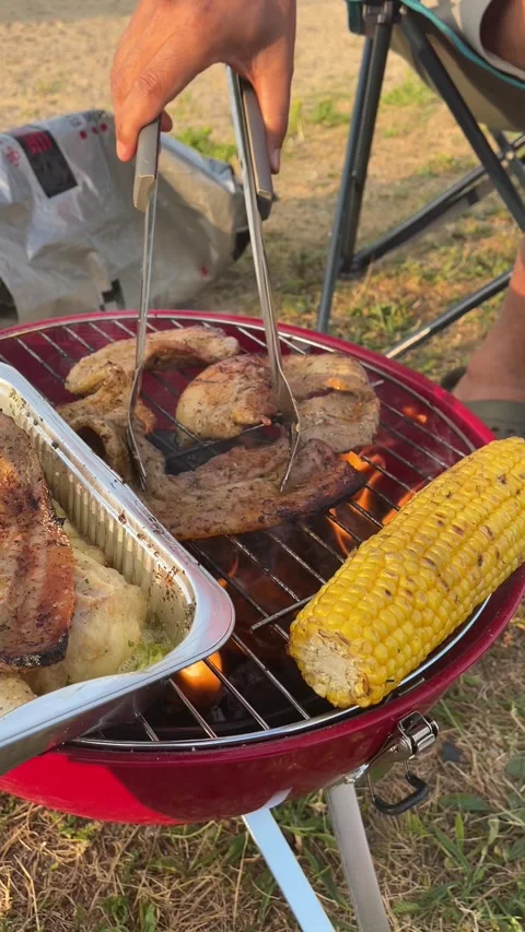 A man is  barbecuing on a small grill with meat and vegetables Video stock 255227324