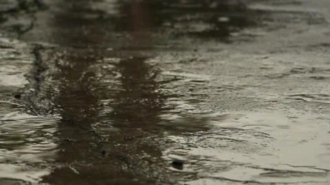 A man barefoot goes on wet asphalt in rainy weather Stock Footage 106895553