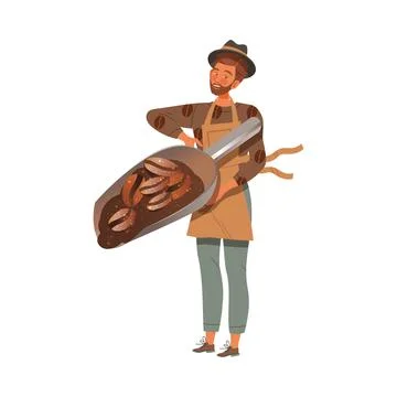 Man Barista Wearing Apron Preparing Coffee Drink Holding Roasted Coffee Beans in Stock Illustration