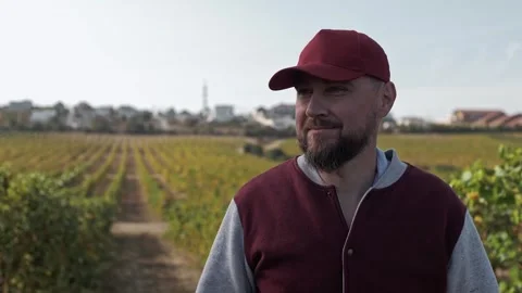 Man with baseball cap smiles and walks between the rows of grape bushes. Stock Footage 270065158