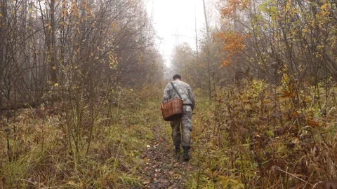 Man with a basket walks along a trail in the forest Stock Footage 124208652