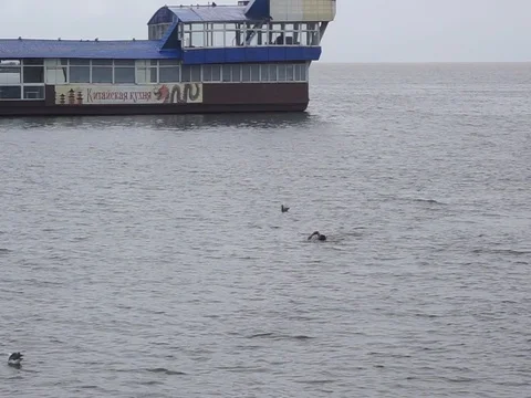 Man bathing Vídeo Stock 86839042