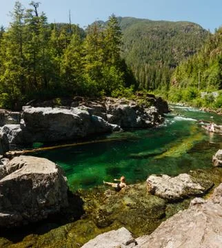 Man bathing in green river in the forest Stock Photos