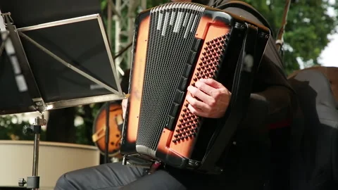 A man with a Bayan Stock Footage 138143672