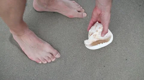 Man on the beach finding seashell HD Stock Footage 10868016