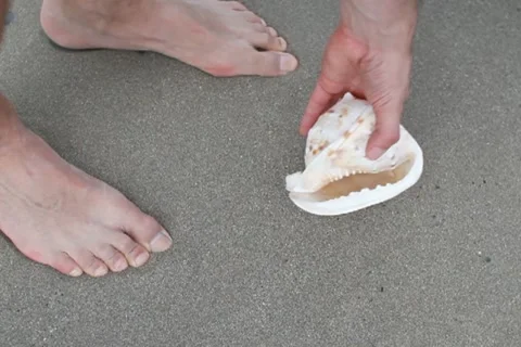 Man on the beach finding seashell NTSC Stock Footage 10868027
