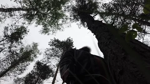 Man with beard looks at top of tree 動画素材 133095693