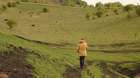 Man beard mustache yellow jacket walks green hills next to horses. ranch.kurit Stock Footage 111614238