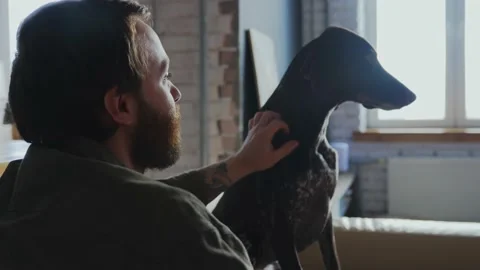The man with a beard is sitting at home on the couch and stroking his new dog Stock Footage 233998655