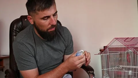 A man with a beard took out a parrot from a cage and holds it in his hands,.. Stock Footage 282910839