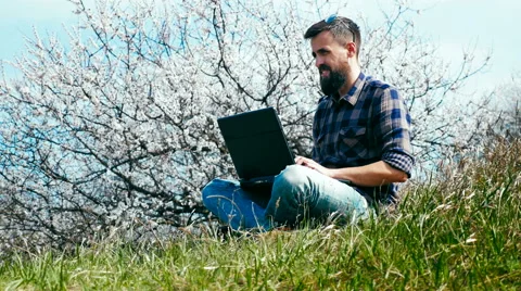 Man with a beard uses laptop on nature near blossoming tree Stock Footage 62437897