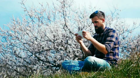 Man with a beard uses a tablet on nature near blossoming tree Stock Footage 62438220