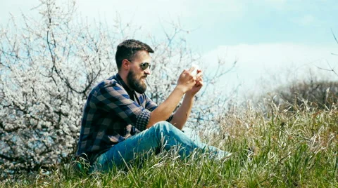 Man with a beard uses a tablet on nature near blossoming tree Stock Footage 62438748