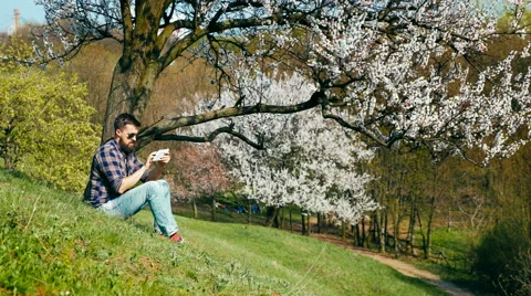 Man with a beard uses a tablet on nature near blossoming tree Stock Footage 62440633
