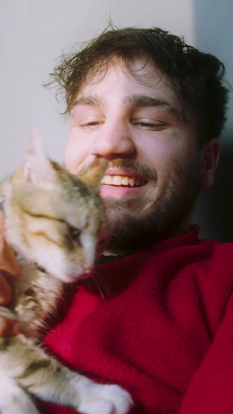 Man in Bed Smiling While Video Calling with His Cat  Relaxing Morning Momen.. Stock Footage 303746880