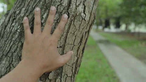Man behide tree waiting for someone or something. Stock Footage 232750435