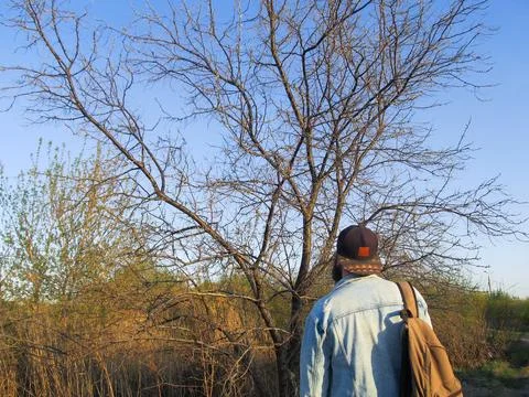 Man from behind looks at tree on his head in light of evening sun Stock Photos