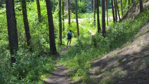 Man from behind running on narrow dirt path through lush green forest Stock Footage 317549698