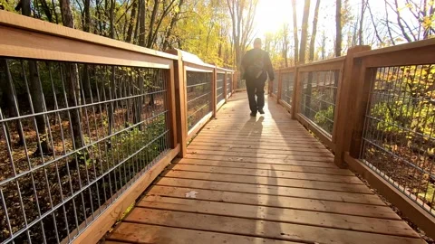 A man, from behind, walking on an elevated wooden path, near a swampy woodlan Stock Footage 167673856