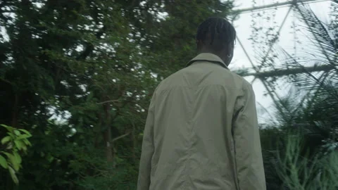 A man from behind walks along path between bushes and trees Video stock 230911191