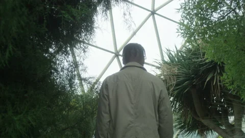 A man from behind walks between bushes and trees Video stock 230911253
