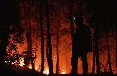 Man beholiding a fire in the forest Stock Photos